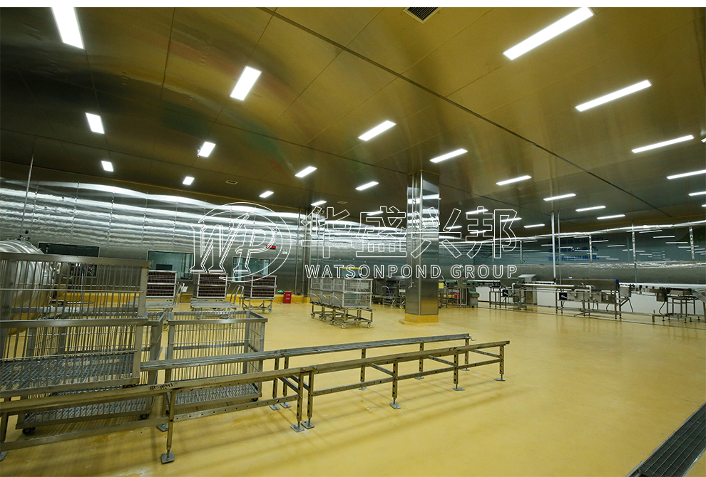 食品工廠設計應滿足哪些方面的要求