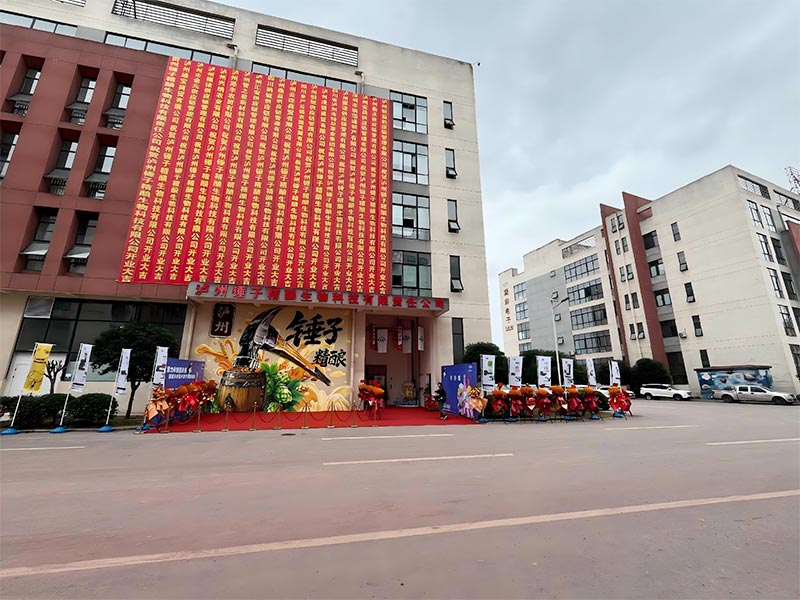 瀘州錘子精釀項目